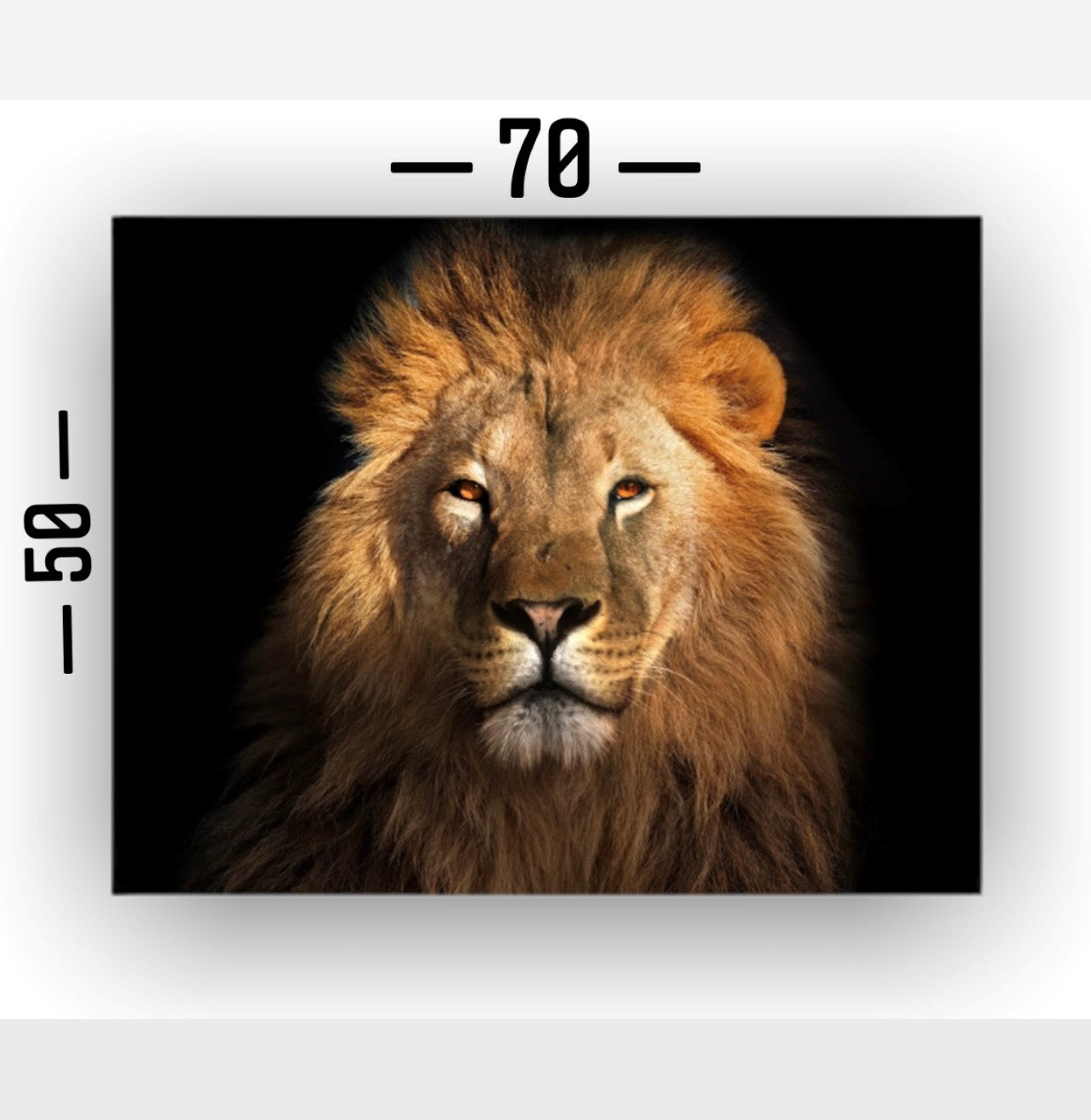 Cuadro en MDF tipo Marmol Cara Leon Rafe 50x70x5