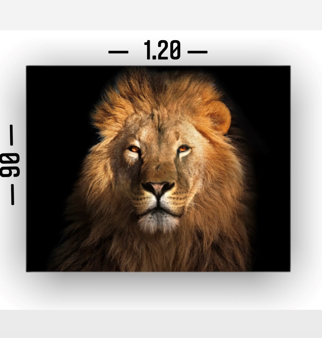 Cuadro en MDF tipo Marmol Cara Leon Rafe 90x120x5