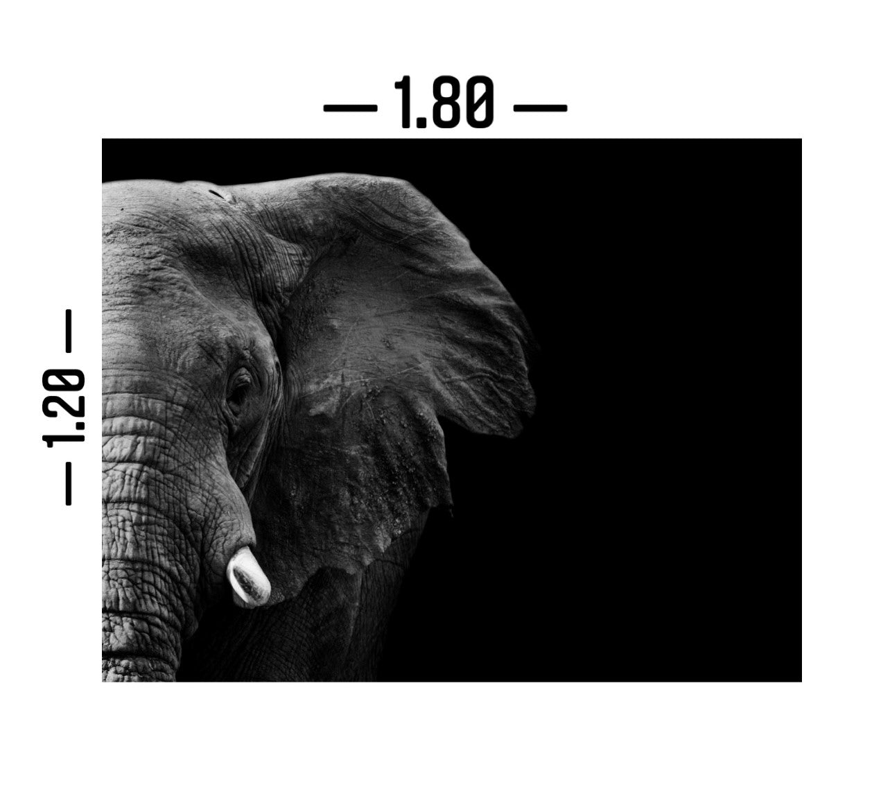 Cuadro en MDF tipo Marmol Cara Elefante 120x180x5