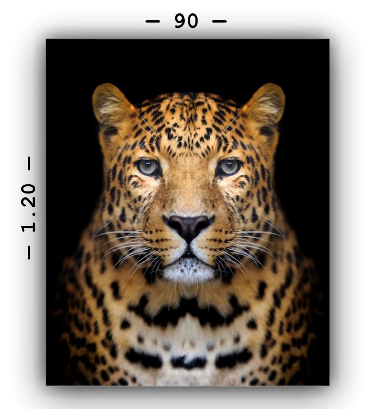 Cuadro en MDF tipo Marmol Cara Leopardo Rafe 120x90x5