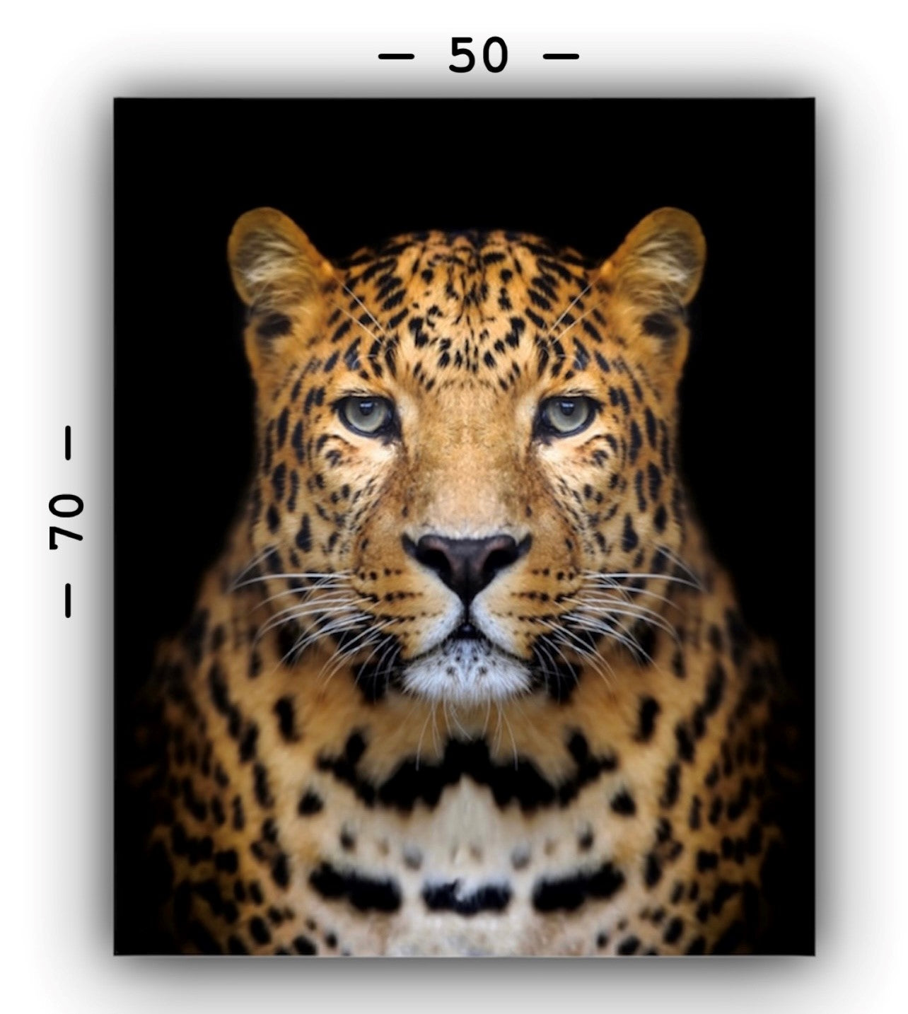Cuadro en MDF tipo Marmol Cara Leopardo Rafe 70x50x5