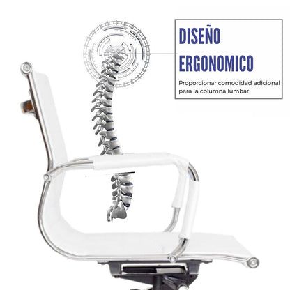Silla De Oficina Presidente Espalda Media Blanco