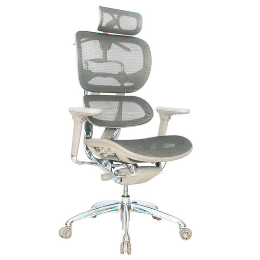 Silla De Oficina Ergohuman Lujo Gris