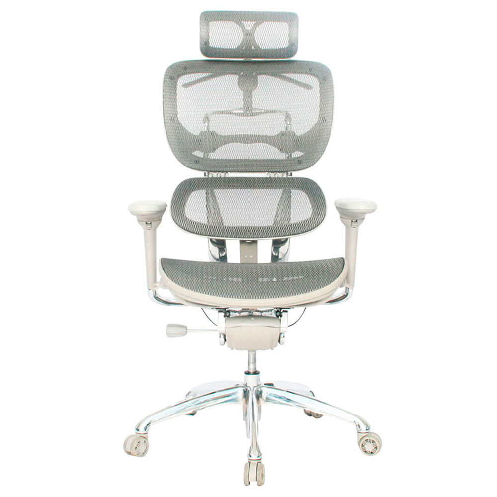 Silla De Oficina Ergohuman Lujo Gris