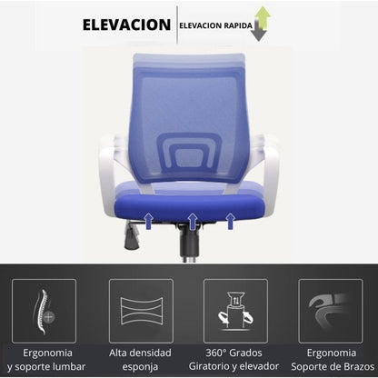 Silla De Oficina Colors Premium Azul