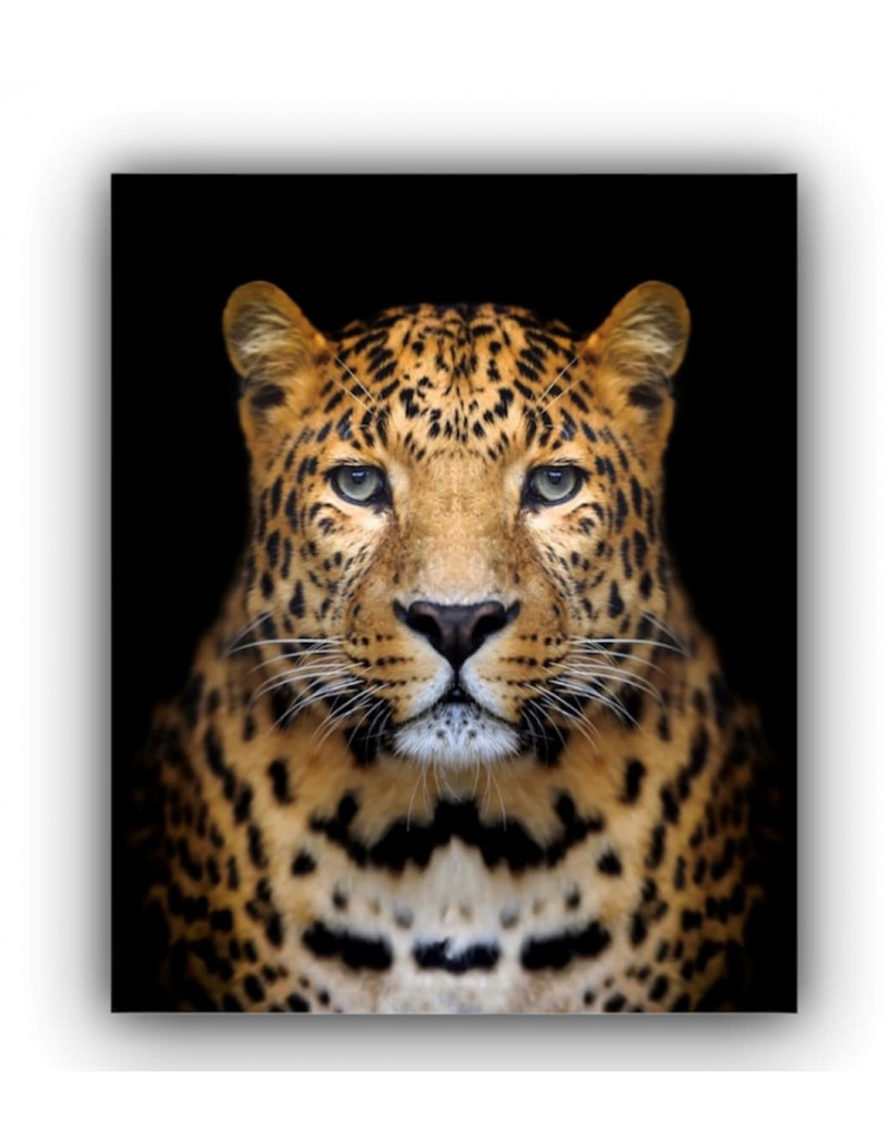 Cuadro cara leopardo rafe (90CMX1.20X5CM)