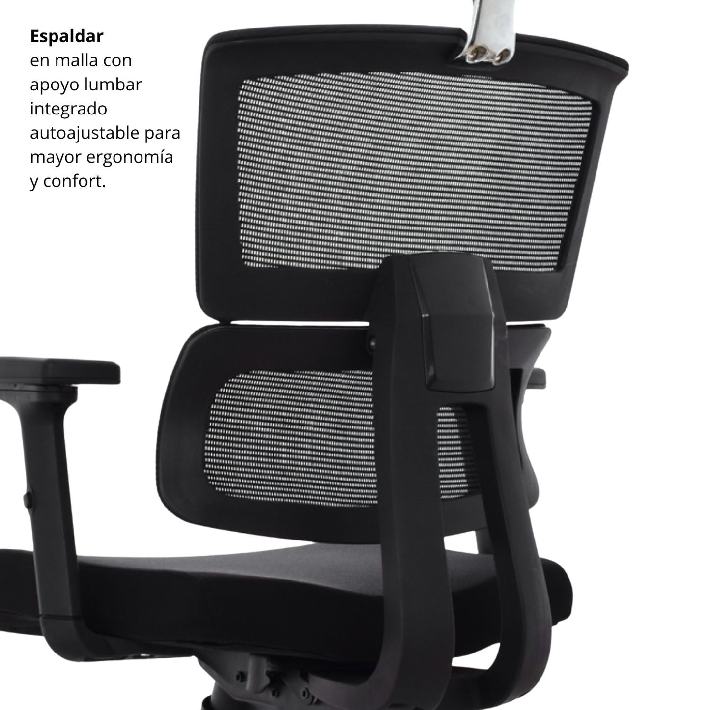 Silla De Oficina Lorient Premium Base Nylon 116X54X51 Negro