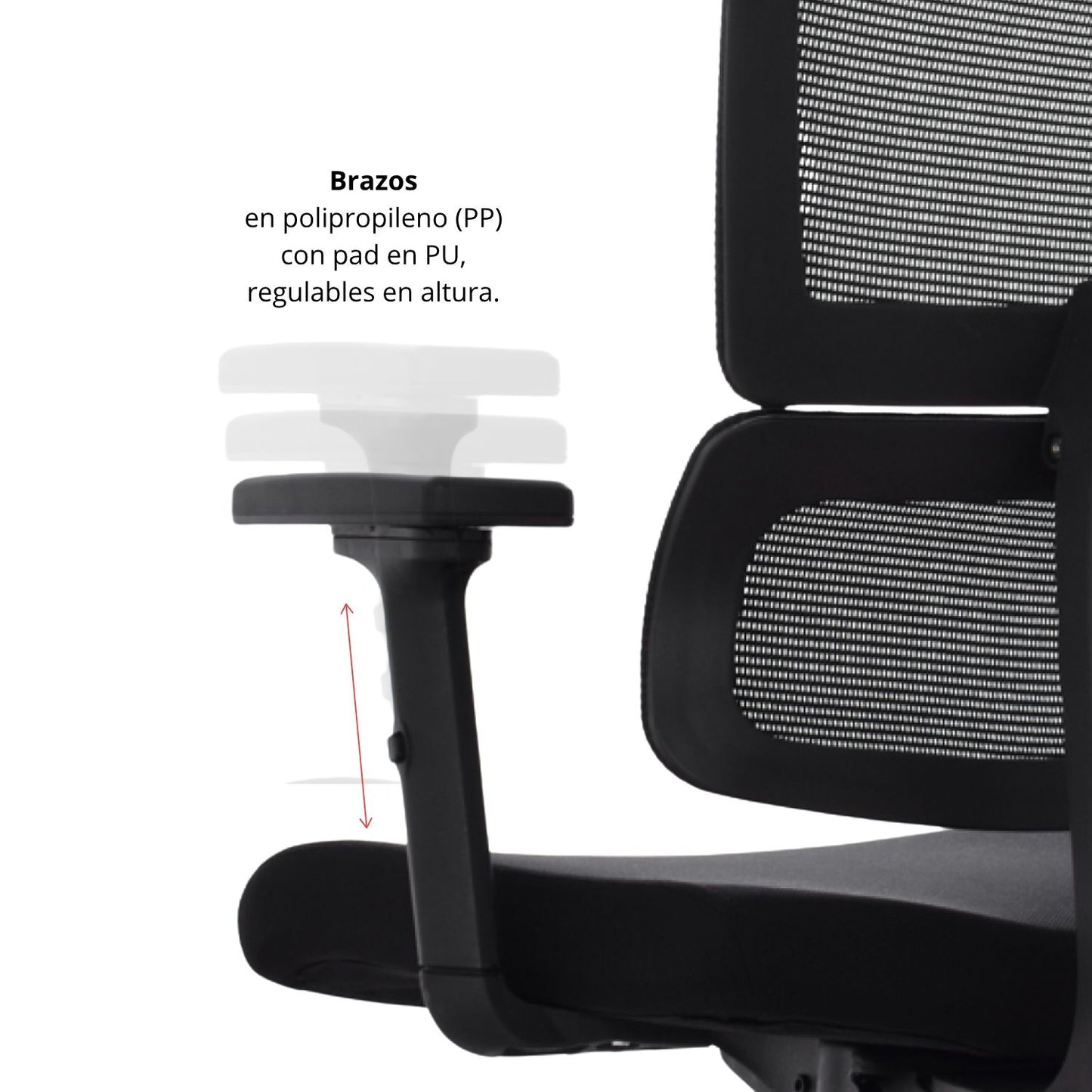 Silla De Oficina Lorient Premium Base Nylon 116X54X51 Negro