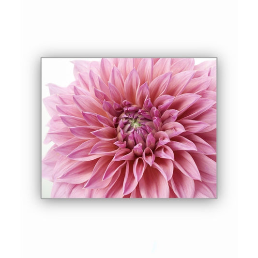 Cuadro en MDF tipo Marmol Planta Rosa Colors 40x40x5