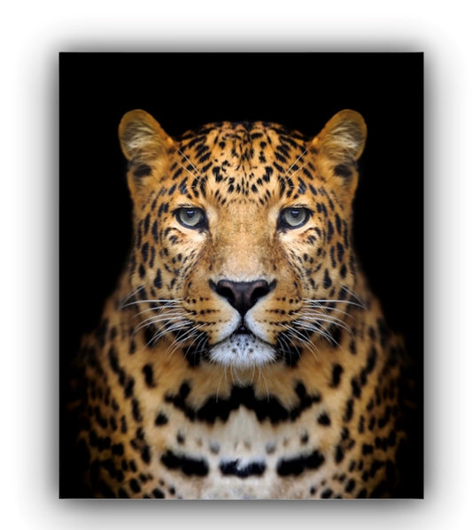 Cuadro en MDF tipo Marmol Cara Leopardo Rafe 70x50x5