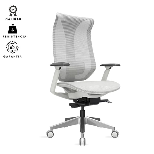 Silla De Oficina Tifany Presidente Gris