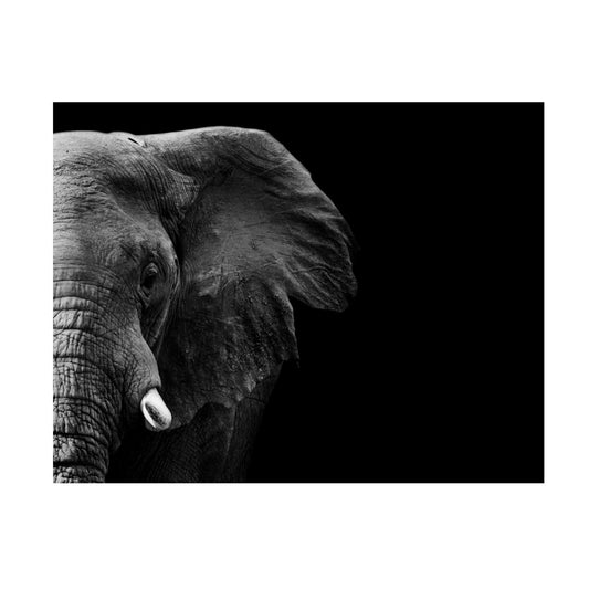 Cuadro en MDF tipo Marmol Cara Elefante 120x180x5
