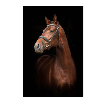 Cuadro en MDF tipo Marmol Cara Caballo Rafe 180x120x5
