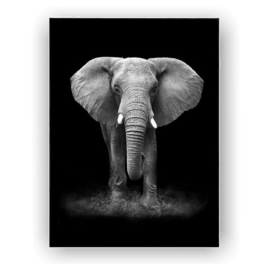 Cuadro en MDF tipo Marmol Elefante Black 180x120x5
