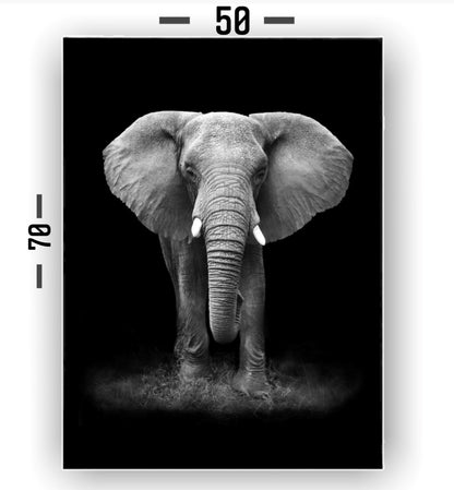 Cuadro en MDF tipo Marmol Elefante Black 70x50x5