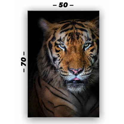Cuadro en MDF tipo Marmol Cara Tigre Rafe 70x50x5