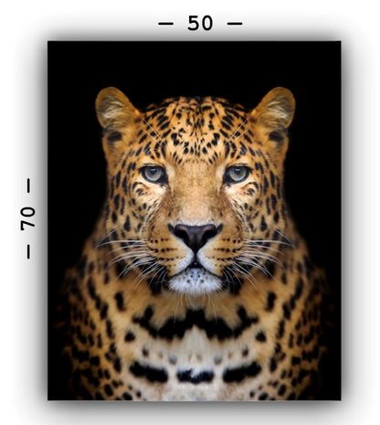 Cuadro en MDF tipo Marmol Cara Leopardo Rafe 70x50x5