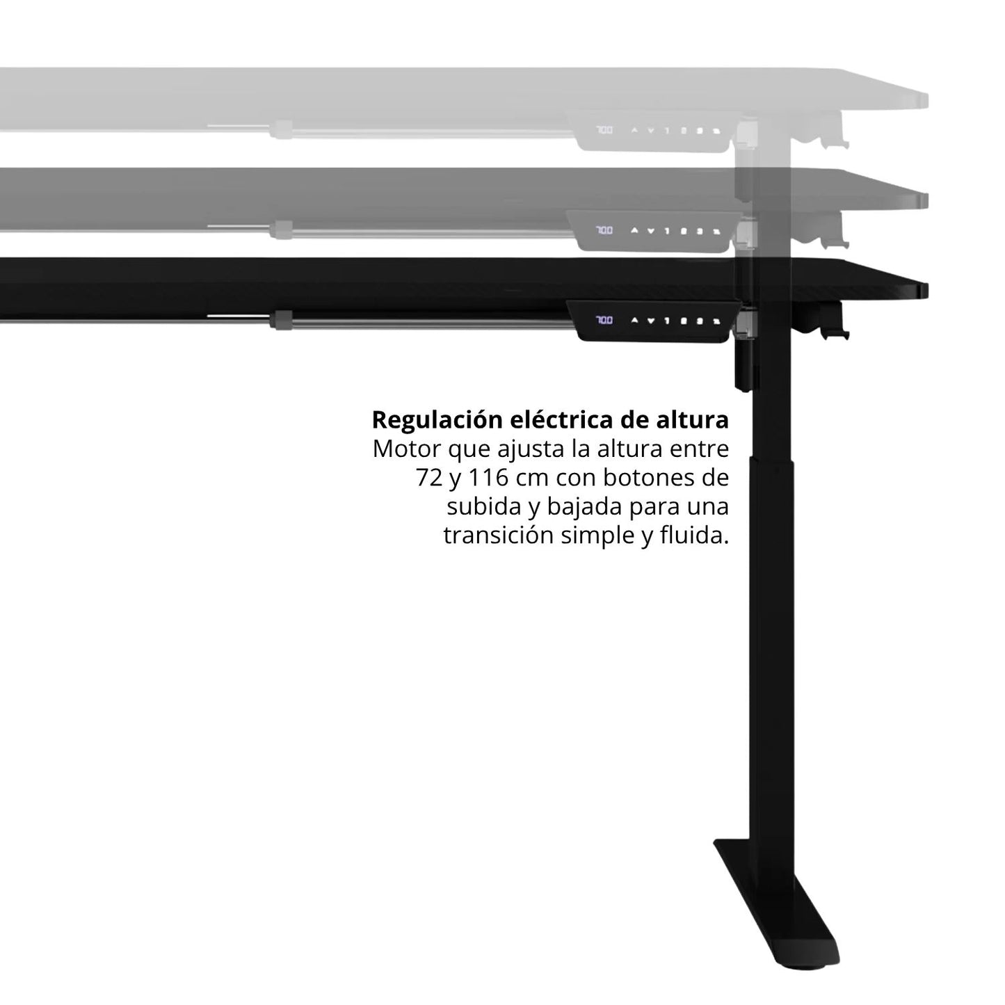 Escritorio Regulable con luces Gamer Evox Negro
