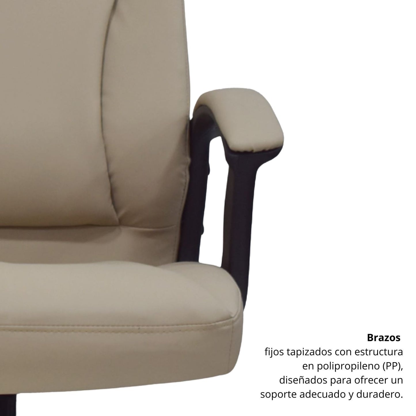 Silla Presidencial Altus Beige 101x52x51