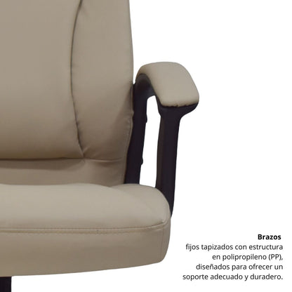 Silla Presidencial Altus Beige 101x52x51
