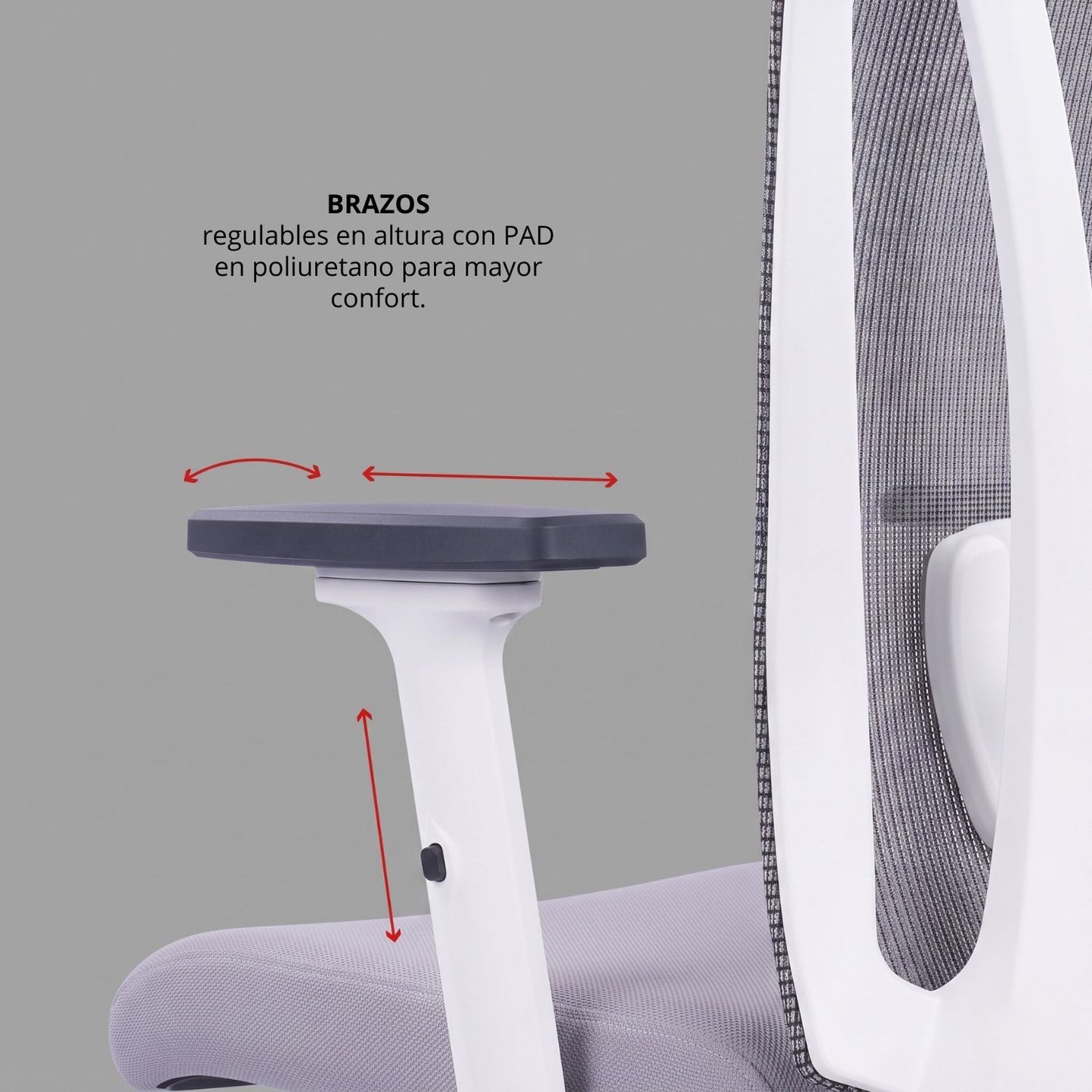 Silla Pluxy Presidente Gris Blanco