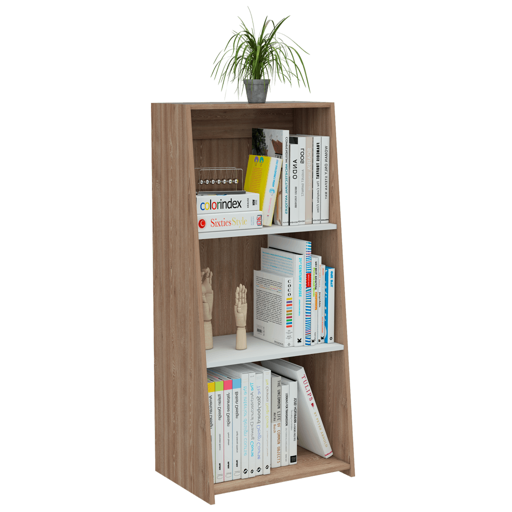 Biblioteca Fureli  Miel Y Blanco