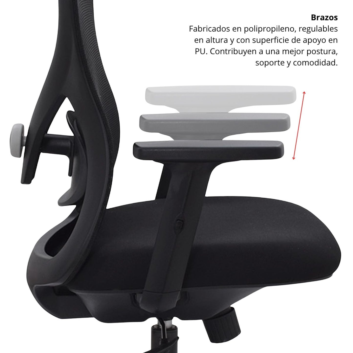 Silla de Oficina Burgo Presidente negro