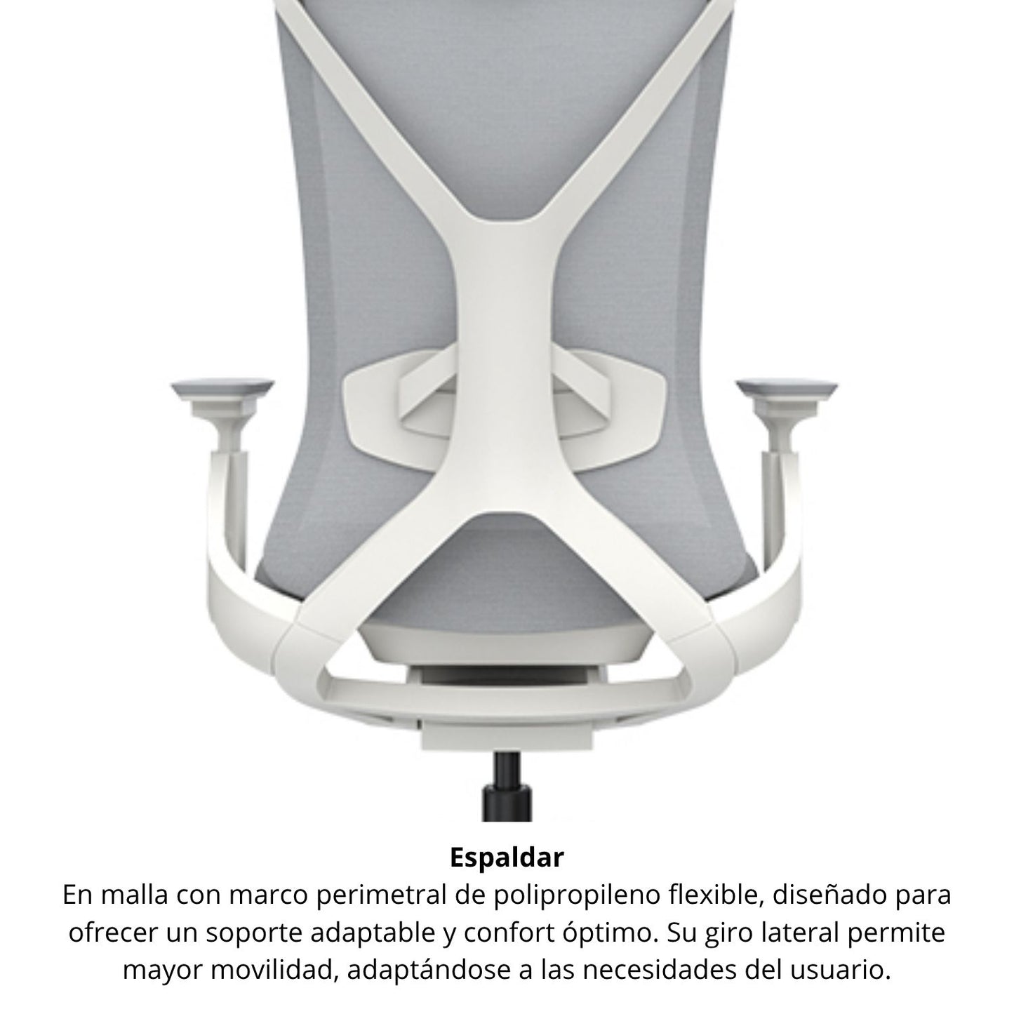 Silla De Oficina Lex Gerencial Gris