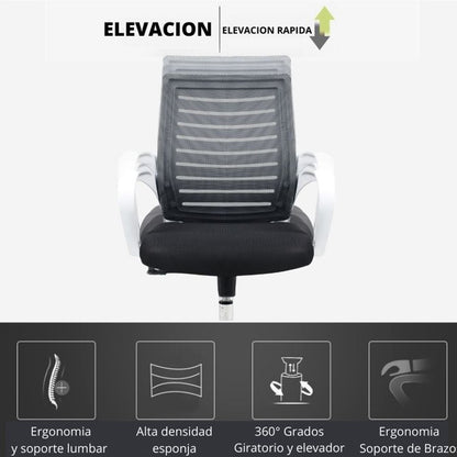 Silla De Oficina Line Negro Blanco